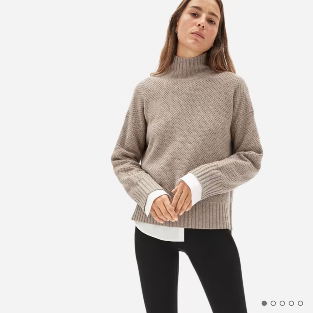 Everlane Cashmere Stroopwafel Turtleneck